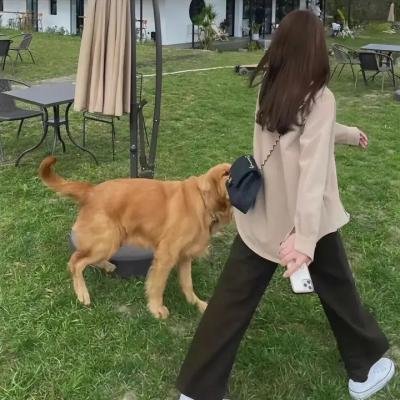 危情直播